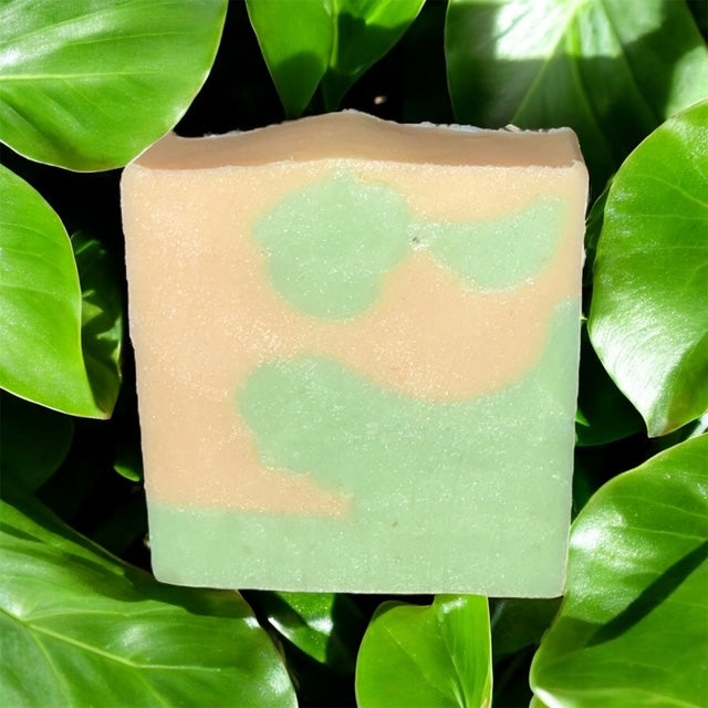 Jungle Waterfall Bar Soap